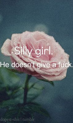 a pink rose with the words silly girl he doesn't give a f k