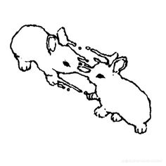 two mice playing with each other in black and white