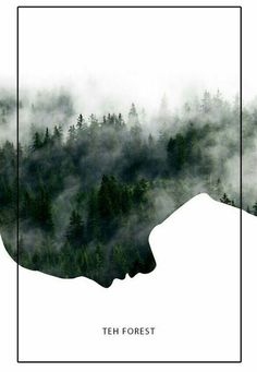 a poster with trees and fog in the background that says,'teh forest '