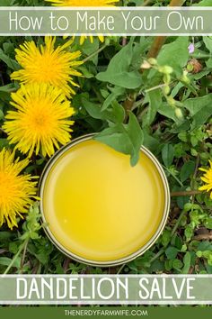 Turn backyard dandelions into a soothing salve with this easy recipe! Perfect for sore muscles, achy joints, and rough, chapped skin, this salve is a must-have for anyone who works with their hands. 🌼 Get the full tutorial and make your own healing salve today! Dandelion Salve, Dandelion Oil, Dandelion Benefits, Lotion Bars Recipe, Healing Salve, Salve Recipes, Healing Salves, A Dandelion, Herbs For Health