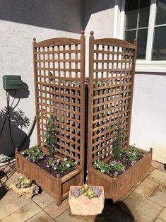 two wooden planters with plants growing in them