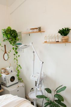 a room that has some plants on the wall and shelves above it, along with other items