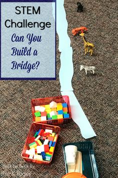 Stem Preschool, Stem Activities Preschool, Kindergarten Stem, Fun Stem Activities, Build A Bridge, Pre K Pages, Preschool Stem, Preschool Science Activities