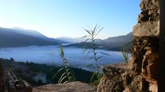 the view from an overlook point on a foggy day