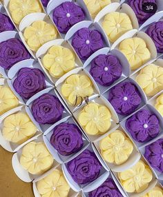 purple and yellow desserts are displayed in white trays