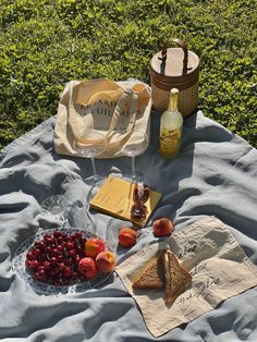 a picnic blanket with fruit, cheese and wine on it