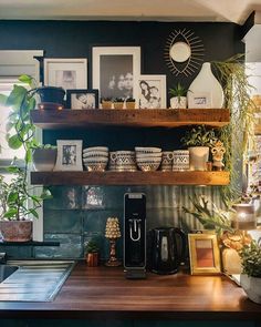 the kitchen counter is full of plants and pictures on shelves above it, along with other items