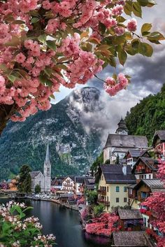 an image of a scenic scene with flowers and mountains in the background that says happy tuesday