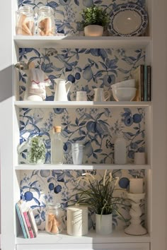 the shelves are decorated with blue and white wallpaper