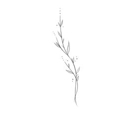 Dainty Greenery Tattoo, Greek Simple Tattoo, Plant Veins Tattoo, Long Side Tattoo, Vine Outline Tattoo, Plant Tattoo Ideas Simple, Leaf Tattoo Fine Line, Vertical Tattoos For Women Arm, Fine Line Tattoos Flowers