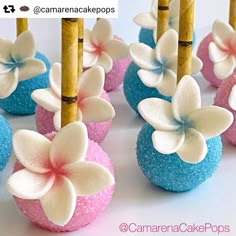 there are some cake pops with flowers on them