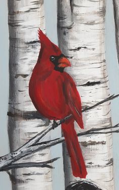 a painting of a red cardinal perched on a tree branch in front of birch trees