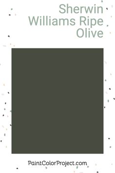 sherylin williams ripe olive paint color swatch for walls and floors with dots