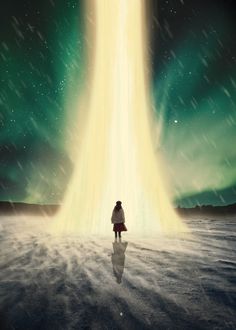 a person standing in the snow looking at an aurora bore