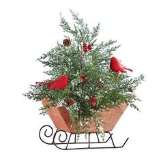 a potted plant with red birds sitting on it's branches and pine cones