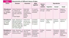 table 1 characteristics of different classes of algae