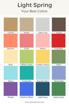 the color chart for light spring, with different shades and colors to choose from in each section