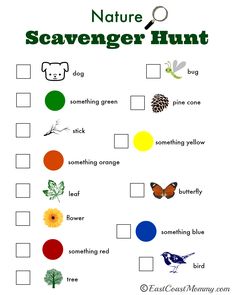 the nature scavenger hunt for kids