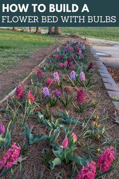 If you’ve ever admired an early season garden and wondered how they were able to achieve such growth, the answer is probably bulbs. Flower bulbs can be planted in the fall for beautiful early Spring blooms. Alternatively, you can plant bulbs in the Spring for a beautiful Summer garden. Spring Bulbs Front Yard, Bulb Bed Ideas, Bulb Planting Ideas, Planting Spring Bulbs, Bulbs Garden Design, Spring Bulbs Garden, Planting Bulbs In Spring