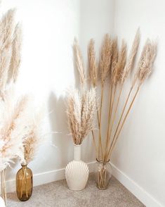 three vases with dried plants in them on the floor next to a white wall