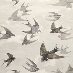 a flock of birds flying through the sky with clouds in the backgroung