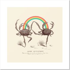 two crabs standing in front of a rainbow with their backs turned to the same direction