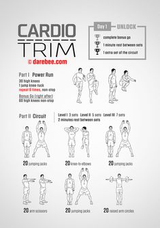 the cardio trim workout poster shows how to do it