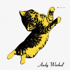 a yellow and black cat flying through the air with it's paw in the air