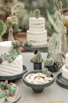 a table topped with cakes and cactus plants