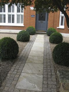 a brick building with white windows and two bushes on the side walk leading up to it