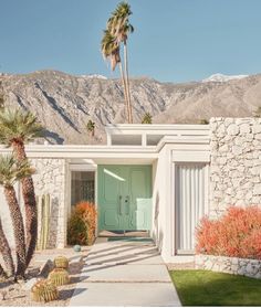 a palm tree in front of a house with a blue door and green shutters