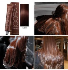 Ash Brown And Copper Hair, Brown Hair Colors Olive Skin, Honey Chocolate Brown Hair, Brown On Dark Hair, Honey Chocolate Hair, Red Chocolate Hair Color, Warm Color Outfits, Pelo Color Chocolate, Rubio Chocolate