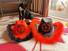 two hats are sitting on the floor in front of a dog wearing a cowboy hat