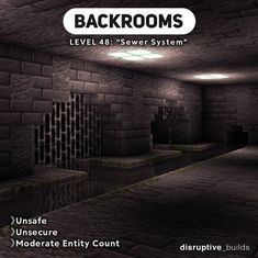 the back rooms level 46 sewer system is shown in this screenshot from an interactive video game