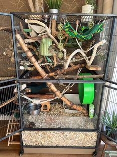 a cage filled with lots of different types of plants and animals in it's habitat