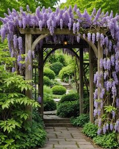 an outdoor garden with purple flowers on the arbor