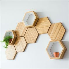 the instagram page on instagram com shows an image of hexagonal shelves with plants in them