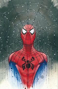 Peach Momoko, Spiderman Artwork, Marvel Spiderman Art, Variant Covers, Spiderman Art, Amazing Spiderman, Superhero Art, Hero Arts, Amazing Spider