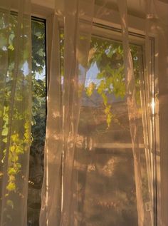 the sun shines through the sheer curtains in front of an open window with trees outside