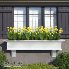 a window box filled with yellow flowers in front of a gray building and green bushes