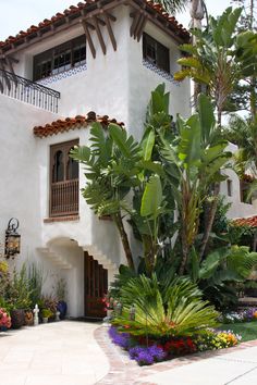 a white house with lots of plants in front of it