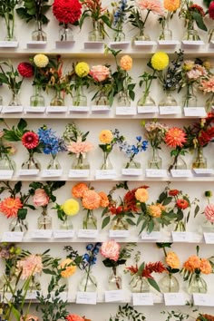 many different types of flowers in vases on a white shelf with name cards attached