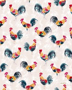 an image of roosters on a white background with red and blue feathers in the foreground