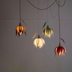 four hanging lights with different colored flowers on them