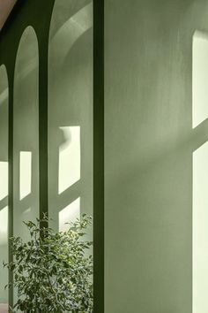 a green wall with arched windows and a potted plant