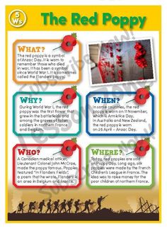 the red poppy activity sheet with pictures and instructions for children to learn how to use it