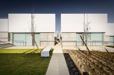 two white buildings with trees in front of them and grass on the ground next to each other