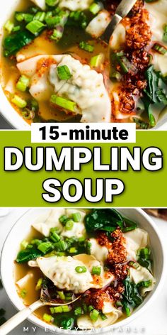 dumpling soup in a white bowl with green onions and spinach