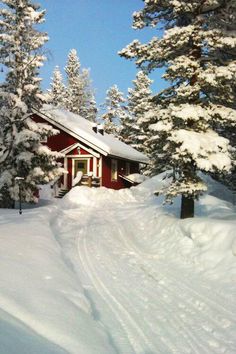 a red house in the snow surrounded by trees