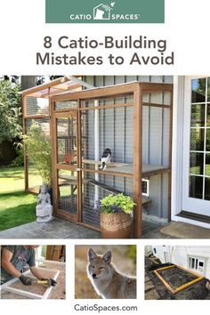 an outdoor cat enclosure with the words 8 cato - building mistakes to avoid